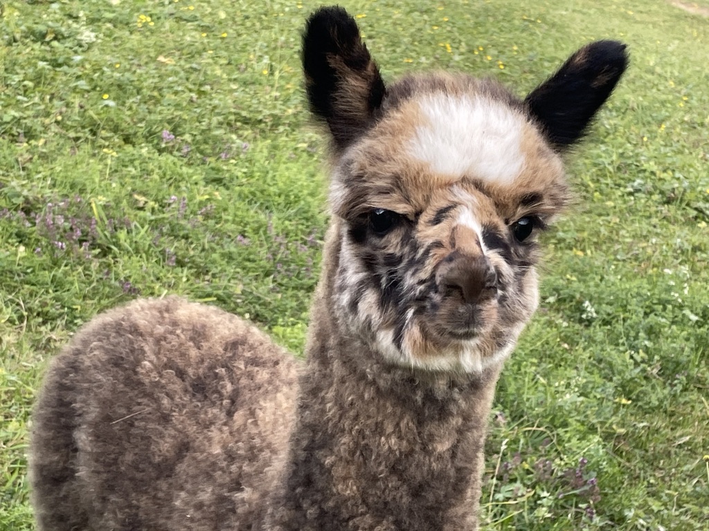 904f750f 2ac0 4553 a35d 0ef7c053d284 1 105 c