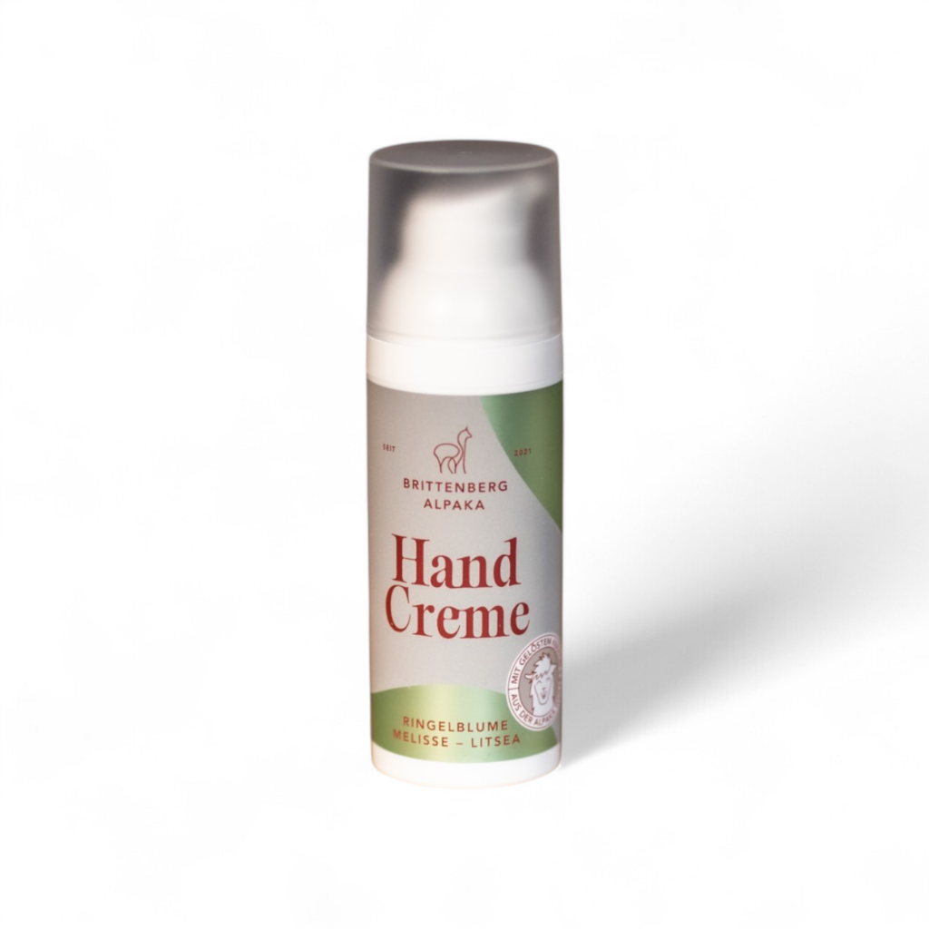 photoroom 20260222 212602856